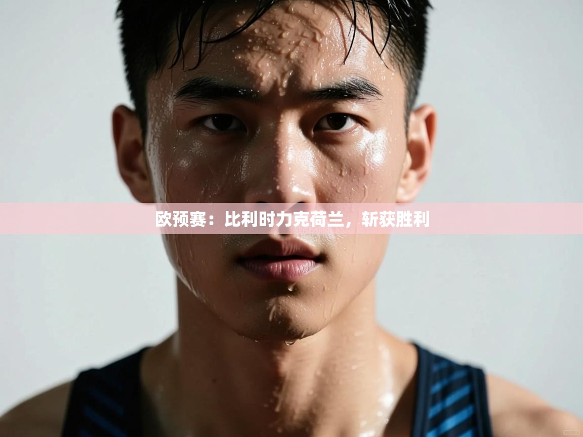 开云体育入口手机版-欧预赛：比利时力克荷兰，斩获胜利