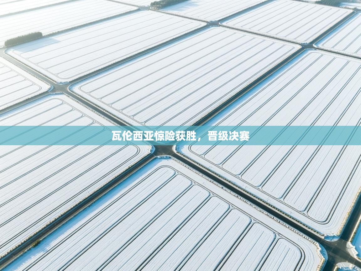 开云体育app官网下载地址-瓦伦西亚惊险获胜，晋级决赛  第1张