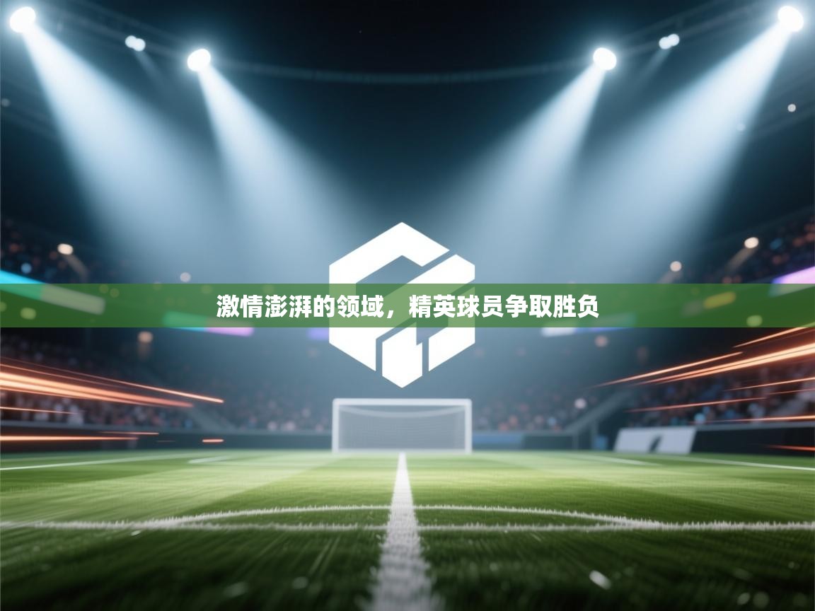 开运体育-激情澎湃的领域，精英球员争取胜负  第2张