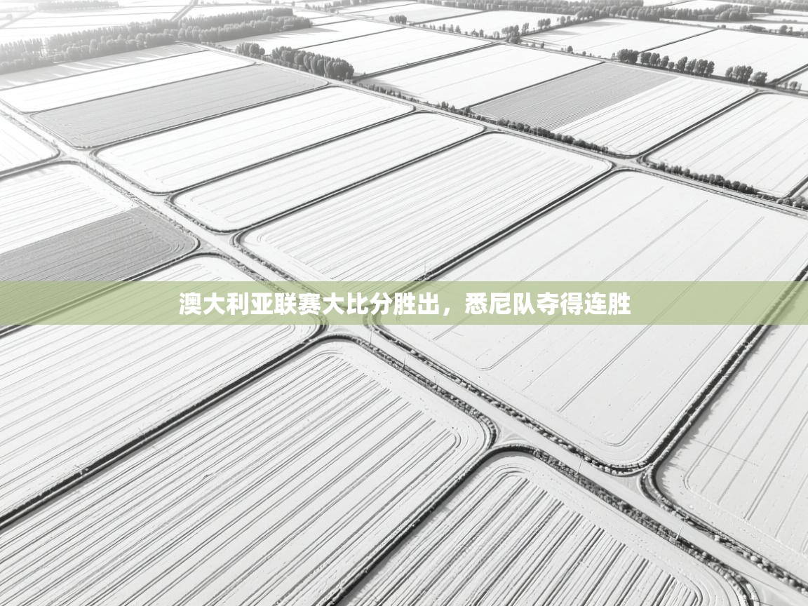 开云体育注册app-澳大利亚联赛大比分胜出，悉尼队夺得连胜  第2张