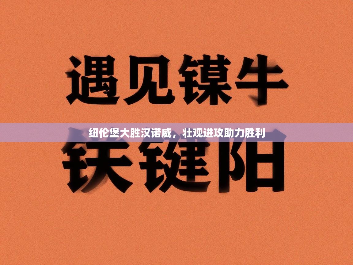 开云体育版本更新日志2025-纽伦堡大胜汉诺威，壮观进攻助力胜利  第2张