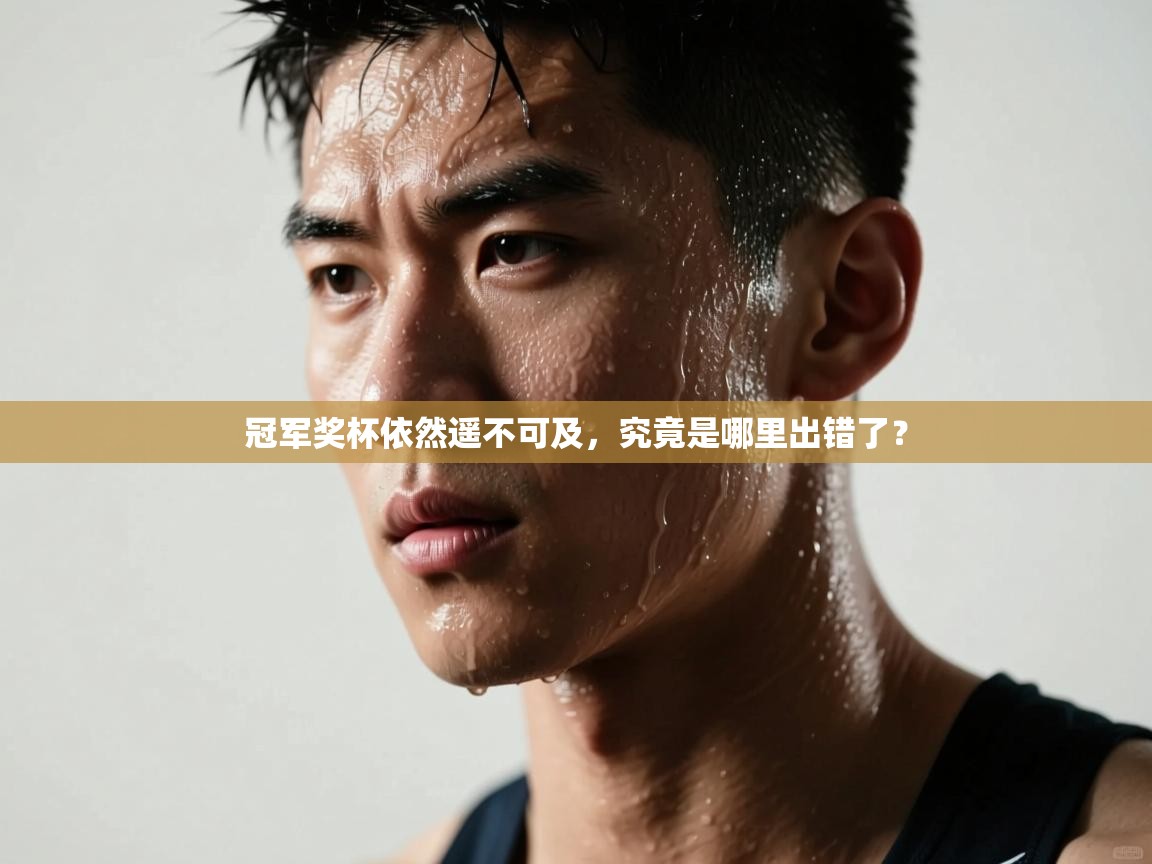 开云体育忘记密码找回-冠军奖杯依然遥不可及，究竟是哪里出错了？  第4张